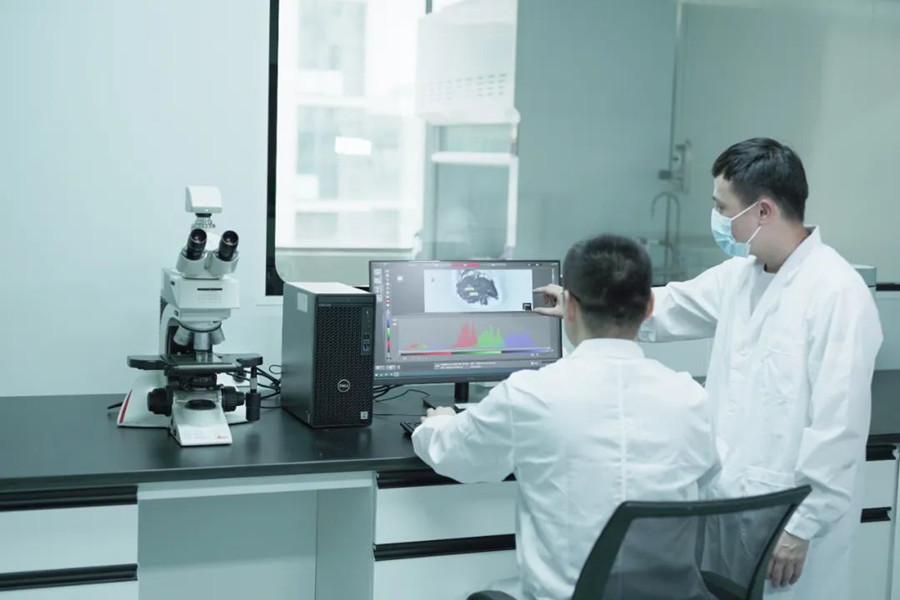 Ҽ������(EDF)���¹ٷ���վ