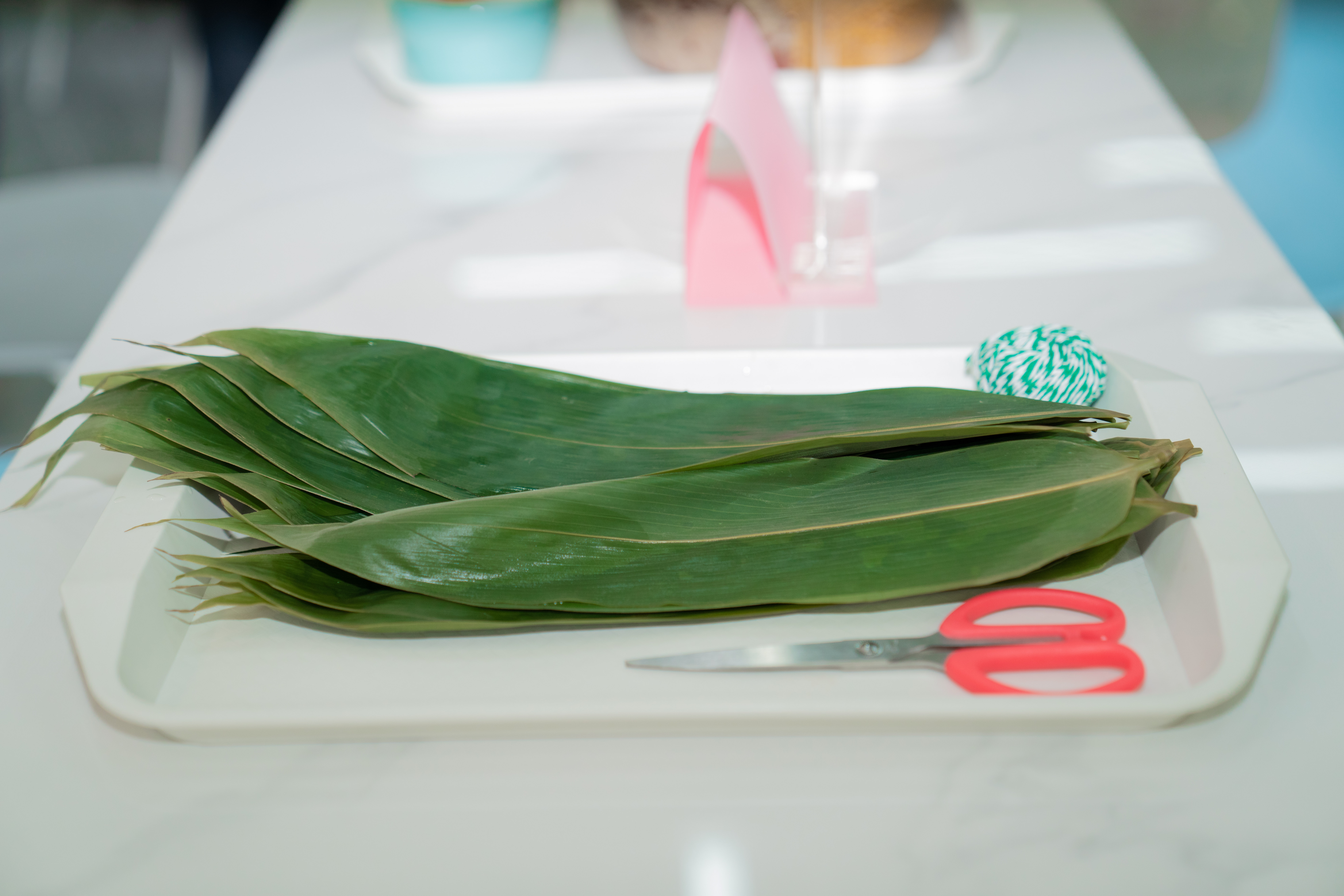 Ҽ������(EDF)���¹ٷ���վ