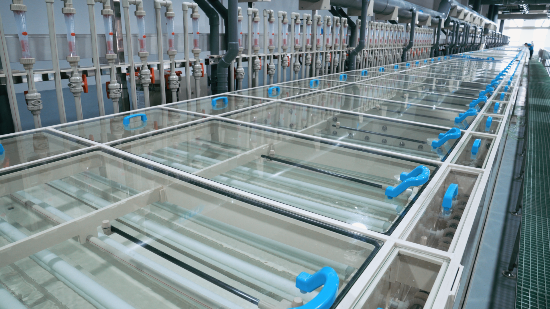 Ҽ������(EDF)���¹ٷ���վ