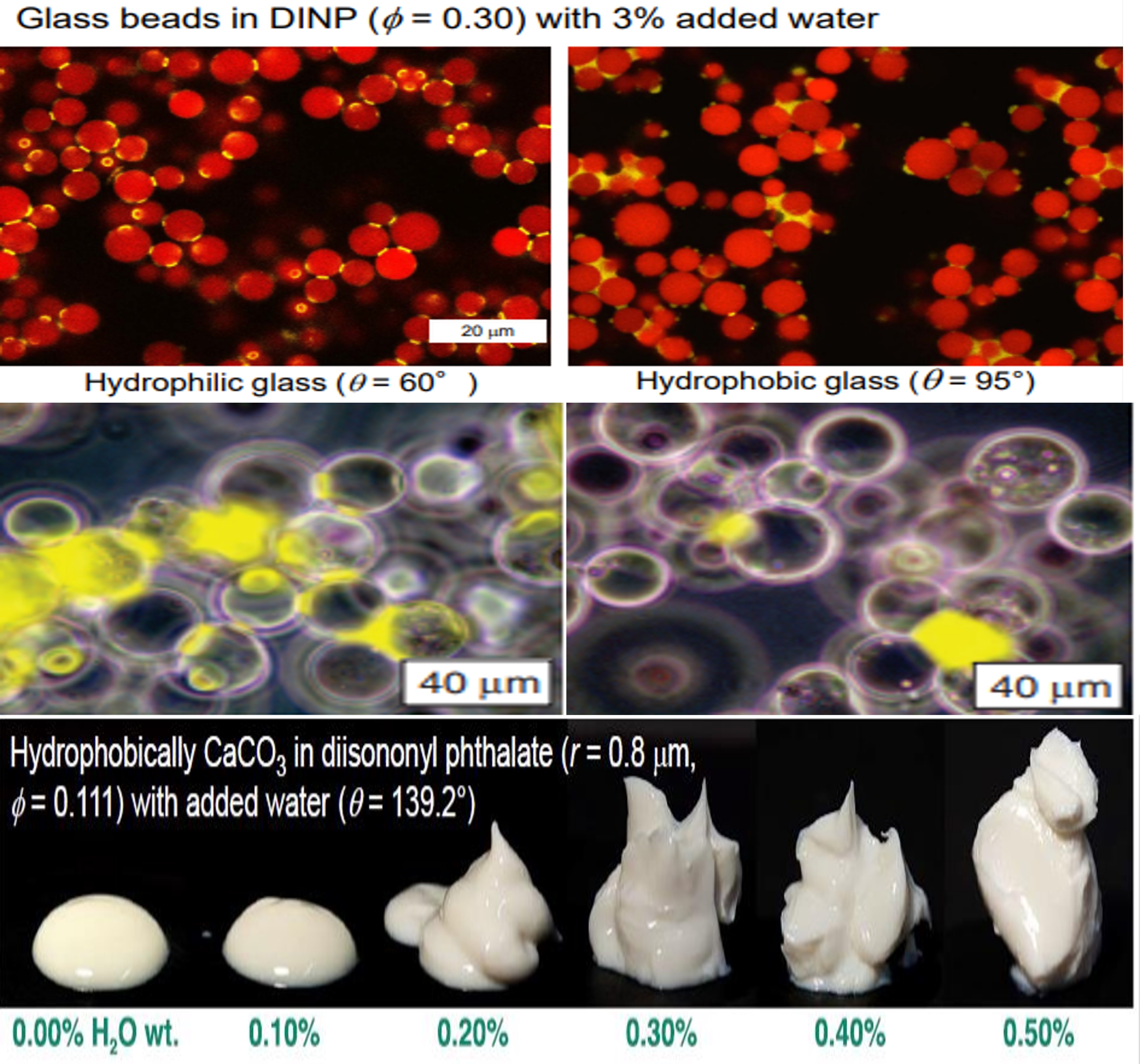 Ҽ������(EDF)���¹ٷ���վ