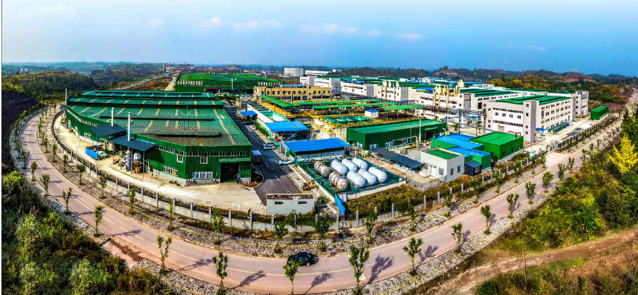 Ҽ������(EDF)���¹ٷ���վ